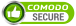 ssl secure seal logo